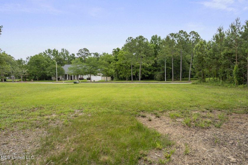 One of two Gorgeous lots with majestic oak in Biloxi's Back Bay - photo 7