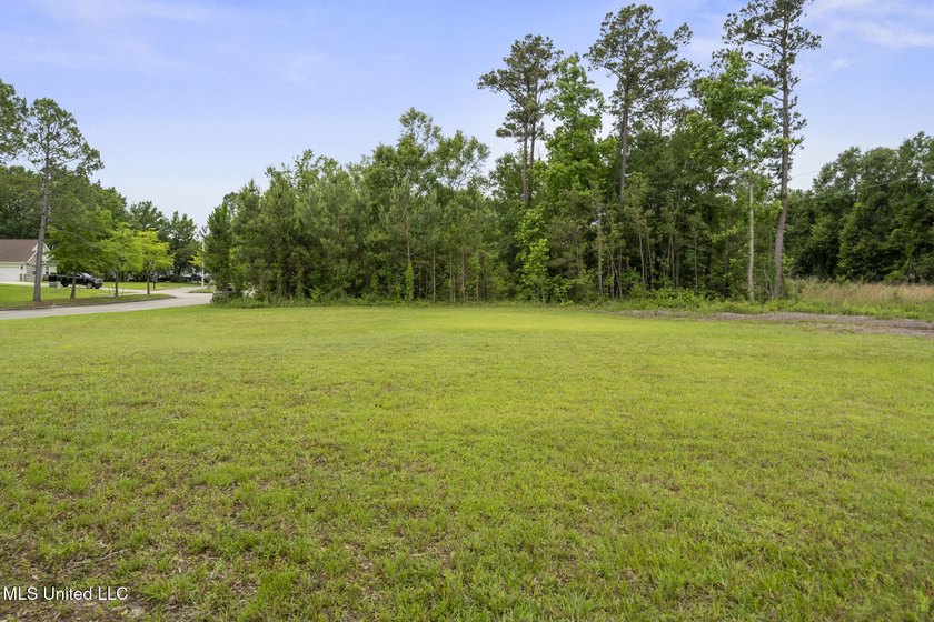 One of two Gorgeous lots with majestic oak in Biloxi's Back Bay - photo 9