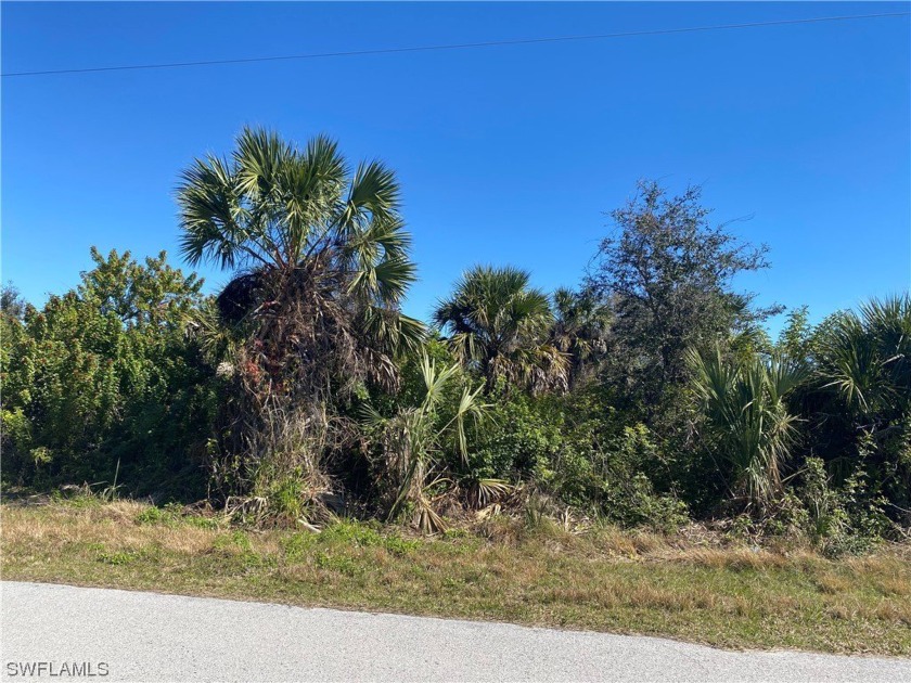 Freshwater Canal Lot for sale! Here is your opportunity to build - photo 2