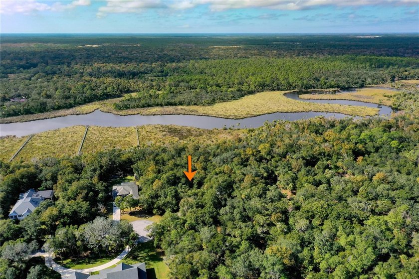 BUILD YOUR FLAGLER BEACH RETREAT ON BRIDLE RIDGE! RARE - photo 5