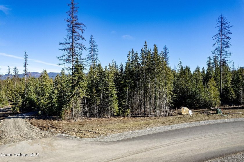 TO BE BUILT: Set on five private, lightly wooded acres in The - photo 16
