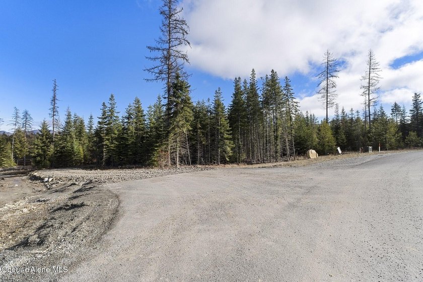 TO BE BUILT: Set on five private, lightly wooded acres in The - photo 24