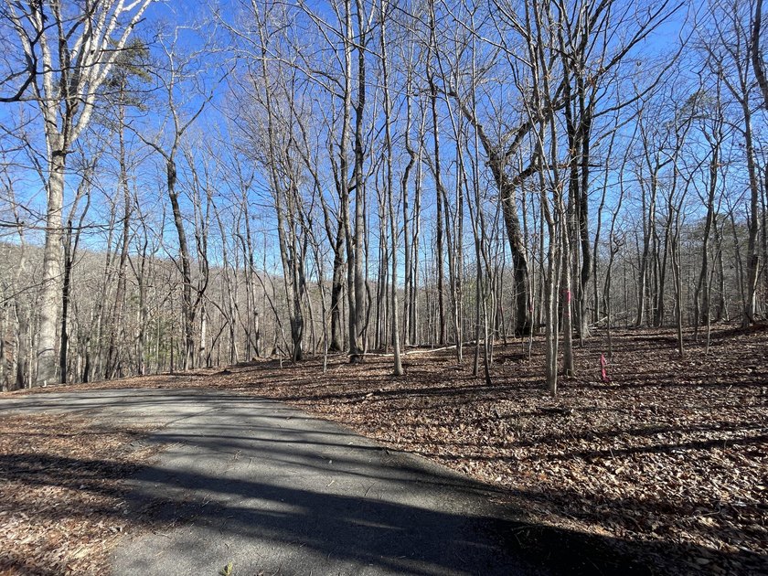 Nice lake access lot in Beechwood West community. End of street - photo 4