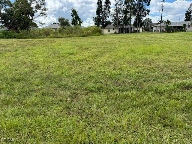 This lot is just waiting for your dream home. This is an area - photo 3