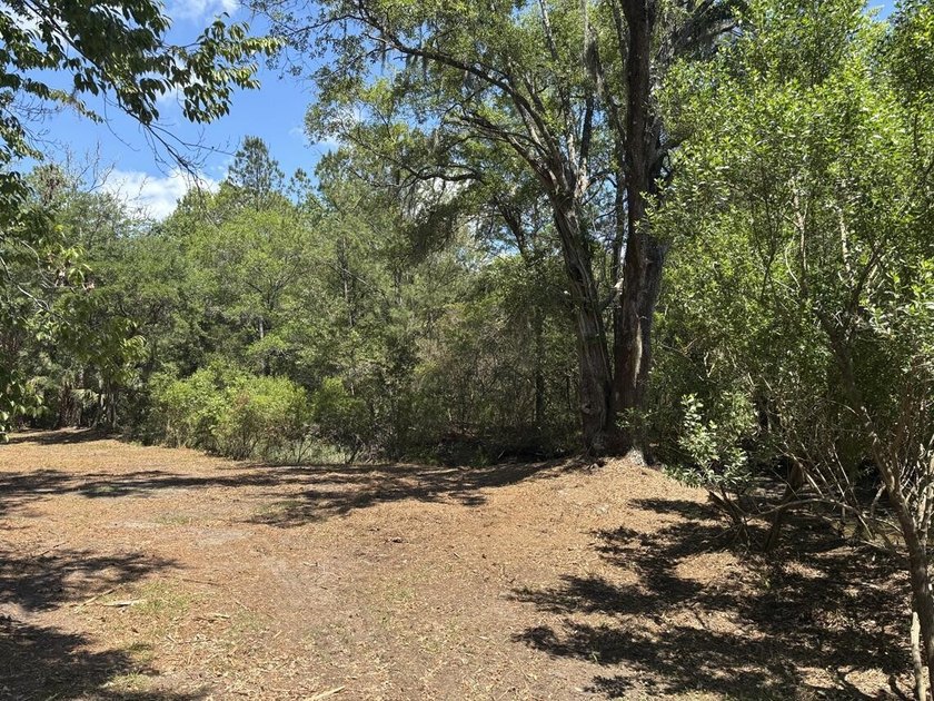 Beautiful 3.17 acre lot - private, wooded, and backs to tidal - photo 3