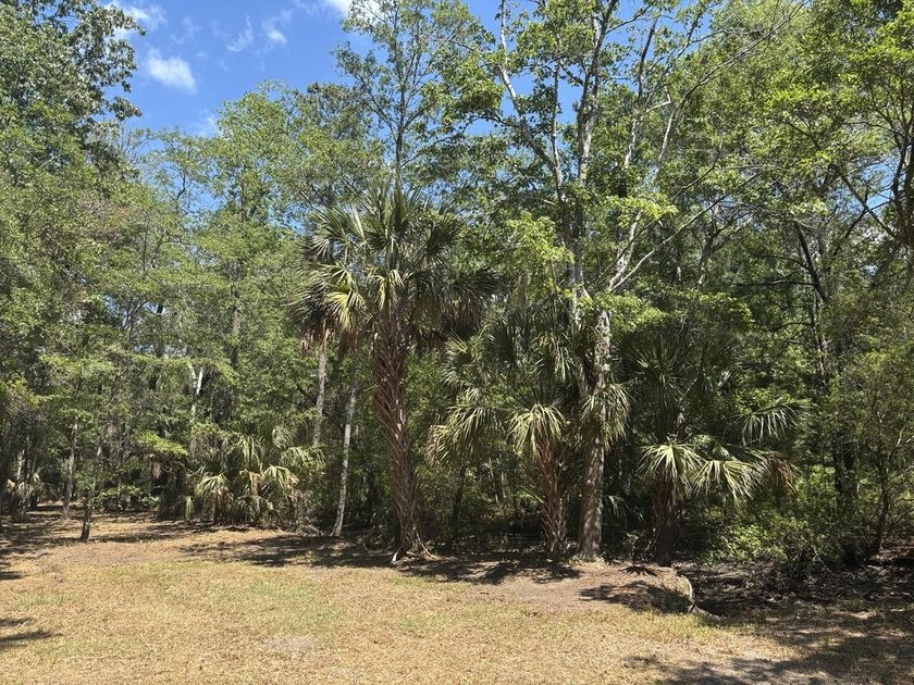 Beautiful 3.17 acre lot - private, wooded, and backs to tidal - photo 8