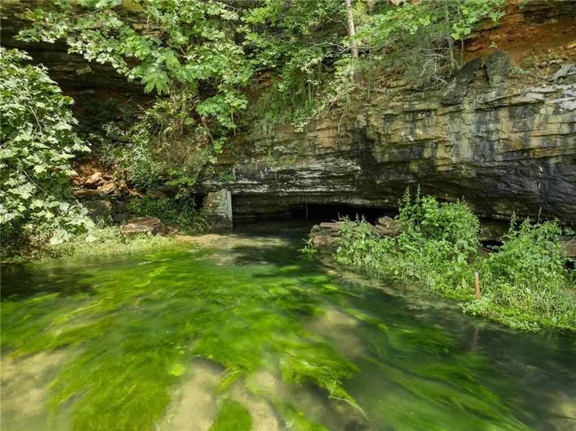 Located just north of Harrison, Arkansas, and only 30 minutes - photo 7
