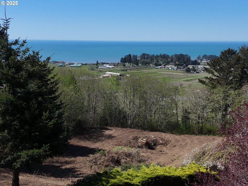 Possible Owner Carry.Welcome to this 1.66-acre lot. A blank - photo 4