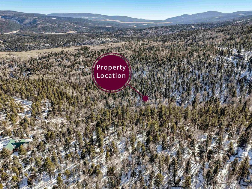 Beautiful single-family equestrian offering with the option to - photo 3