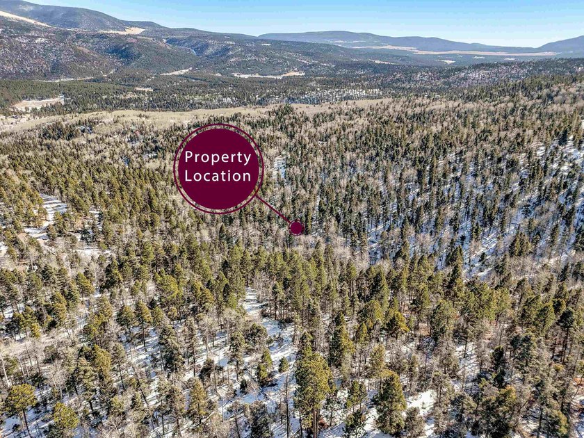 Beautiful single-family equestrian offering with the option to - photo 4