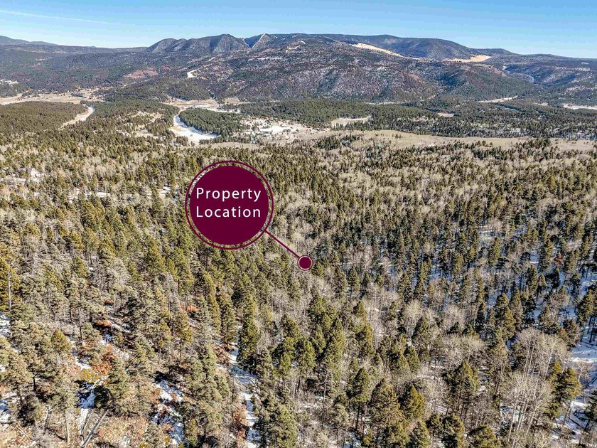 Beautiful single-family equestrian offering with the option to - photo 5