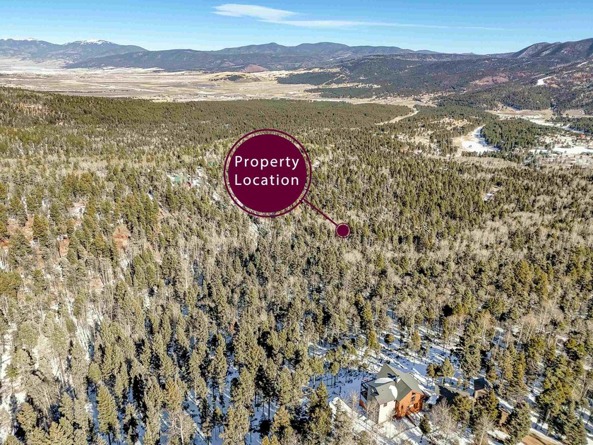 Beautiful single-family equestrian offering with the option to - photo 6