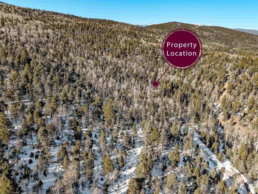 Beautiful single-family equestrian offering with the option to - photo 8
