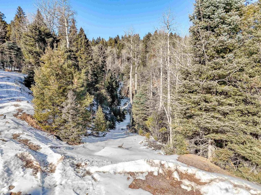 Beautiful single-family equestrian offering with the option to - photo 10