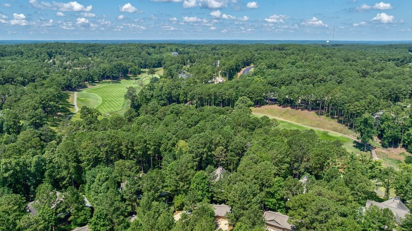 STUNNING LOCK-N-LEAVE TOWNHOME WITH A TWO CAR GARAGE CLOSE TO - photo 43