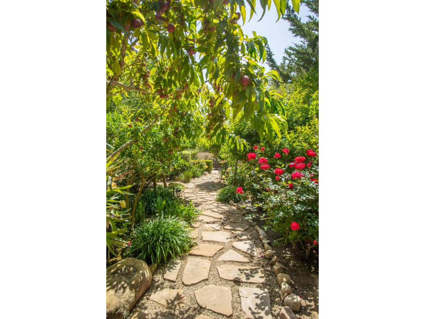 Live where the trails meet the sea! You can truly unwind here - photo 42