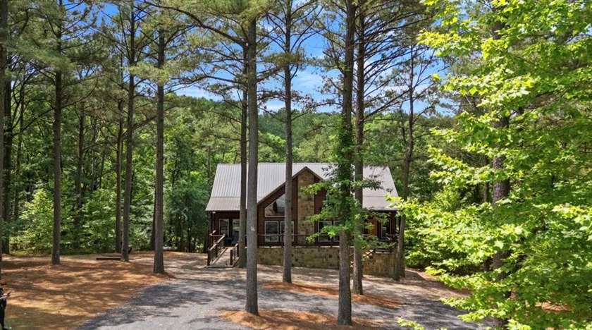 Introducing Friends in Low Places, a charming cabin located in - photo 46