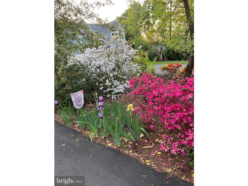 Nestled in a peaceful cove with stunning main lake views and - photo 10