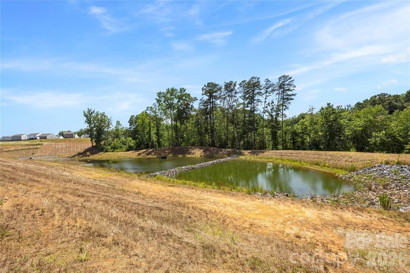 Welcome to this beautiful chiffon plan ranch home featuring an - photo 32