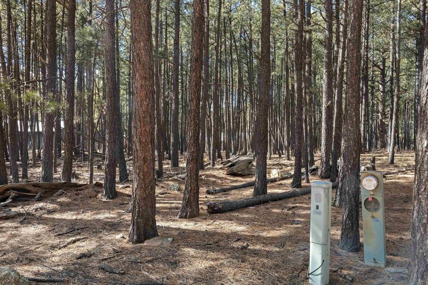 Opportunity knocks with this level, half-acre lot offering the - photo 3