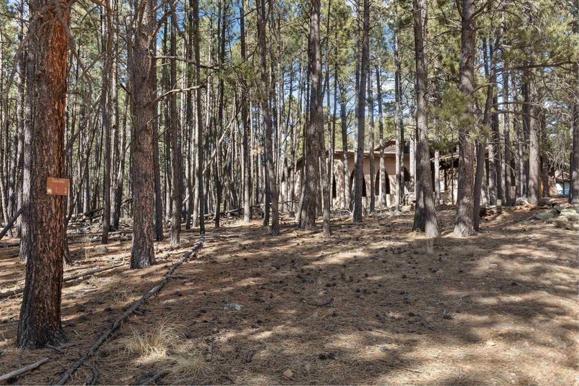 Opportunity knocks with this level, half-acre lot offering the - photo 4