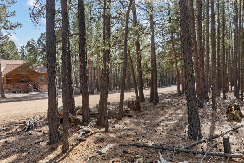 Opportunity knocks with this level, half-acre lot offering the - photo 5