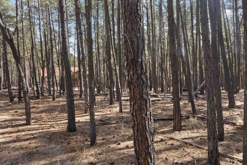 Opportunity knocks with this level, half-acre lot offering the - photo 6