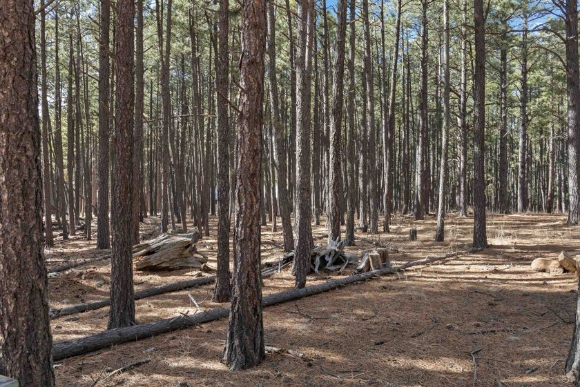 Opportunity knocks with this level, half-acre lot offering the - photo 7