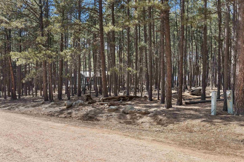 Opportunity knocks with this level, half-acre lot offering the - photo 8