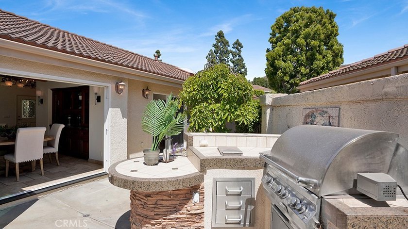 27469 Paseo Mimosa - photo 37