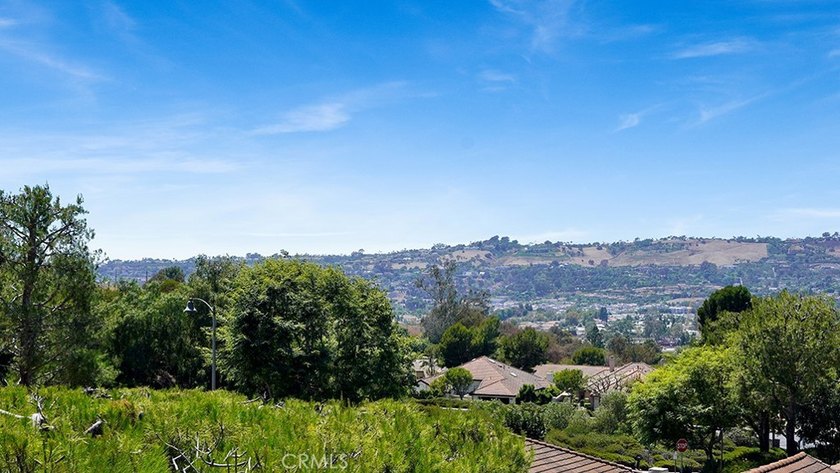27469 Paseo Mimosa - photo 41