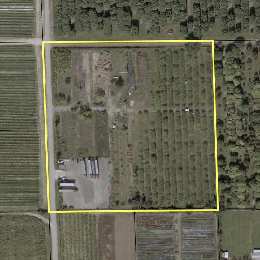 Fully fenced 10-acre grove currently being used for agricultural - photo 2