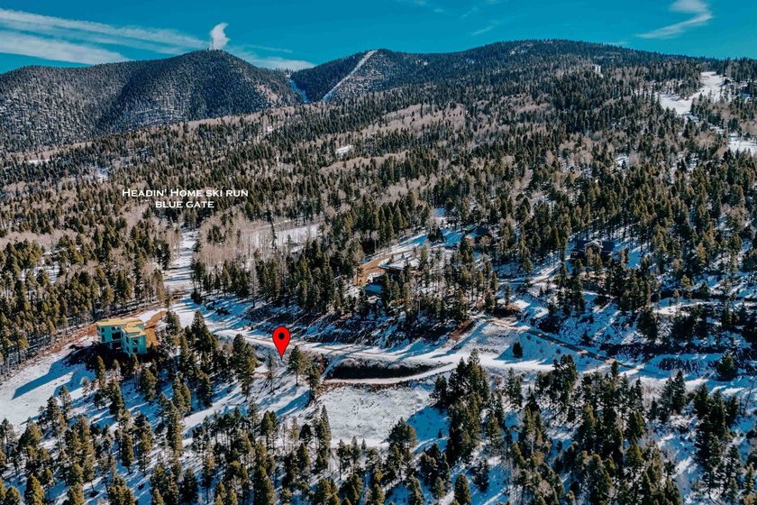 STEPS FROM THE SLOPES! Ski Access to *Headin' Home* ski run. Lot - photo 2