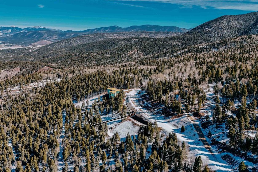 STEPS FROM THE SLOPES! Ski Access to *Headin' Home* ski run. Lot - photo 4