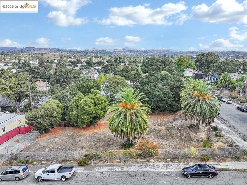 Lot 3 of 3 totaling 13,000 square feet! Don't miss this rare - photo 6