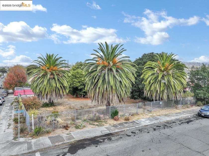Lot 3 of 3 totaling 13,000 square feet! Don't miss this rare - photo 8