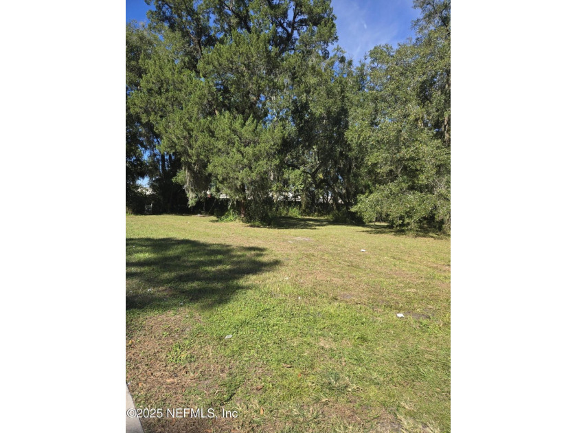 Beautiful lot! This land is nearly an acre, 199' x 190'. Zoned - photo 3