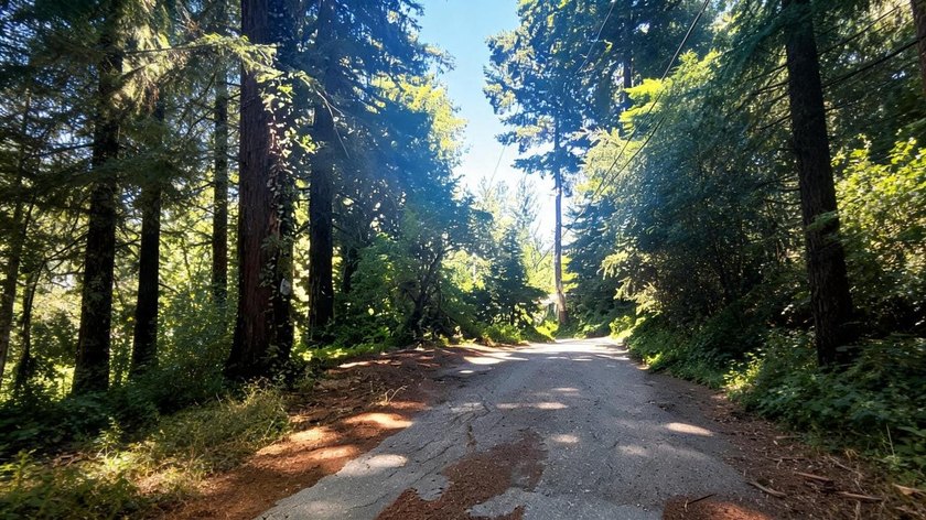 Nestled among towering redwoods just 2.5 miles from downtown - photo 4