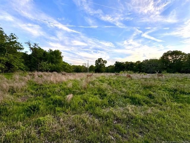 This isn't just land-it's the kind of place people hold onto for - photo 8