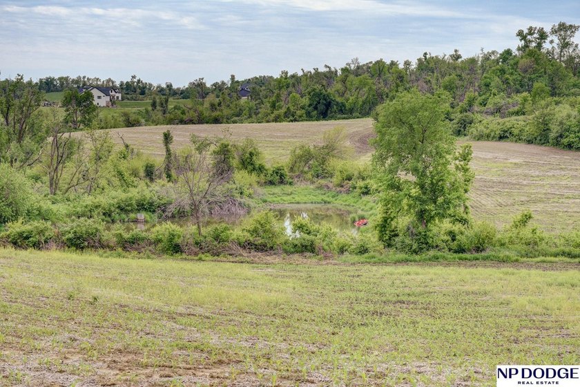 Rare opportunity to own a beautiful piece of land with - photo 4