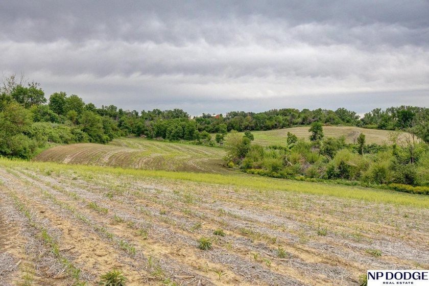 Rare opportunity to own a beautiful piece of land with - photo 5