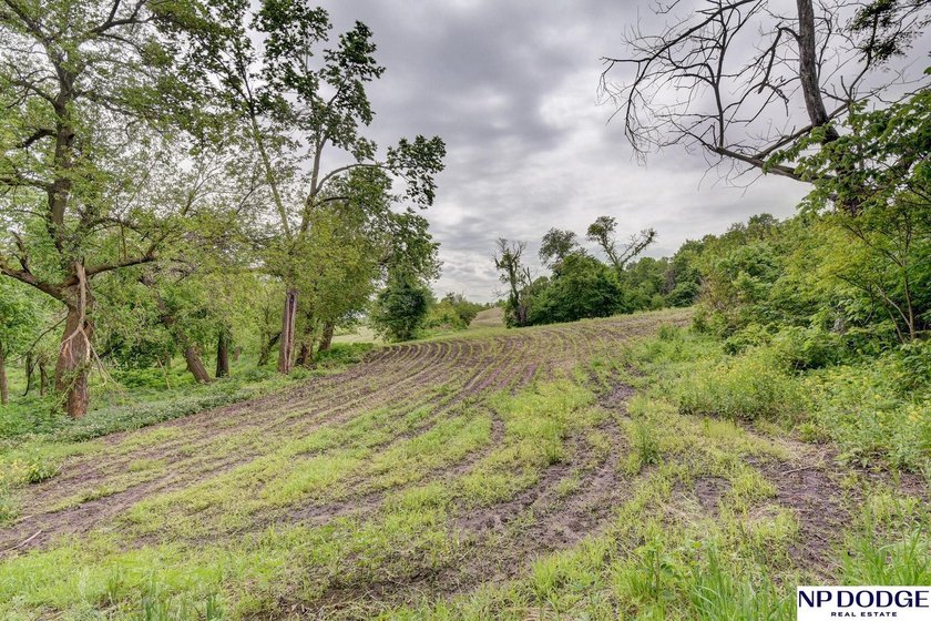 Rare opportunity to own a beautiful piece of land with - photo 8