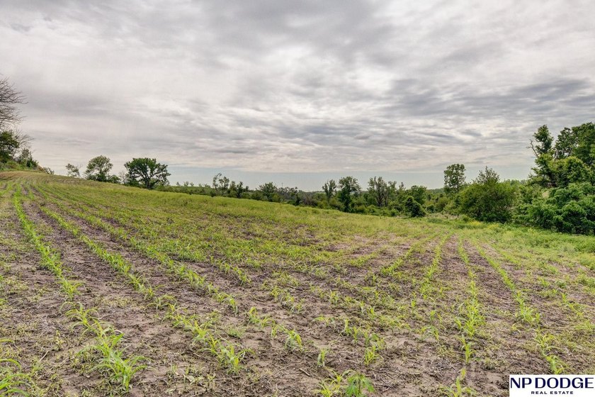 Rare opportunity to own a beautiful piece of land with - photo 10