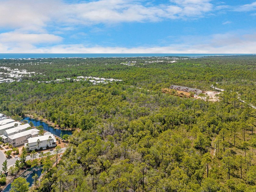 Positioned within NatureWalk at Seagrove, Turkey Oak Drive - photo 11
