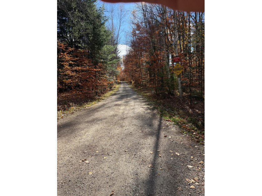 Create your perfect Northwoods escape on this stunning 2.45-acre - photo 2