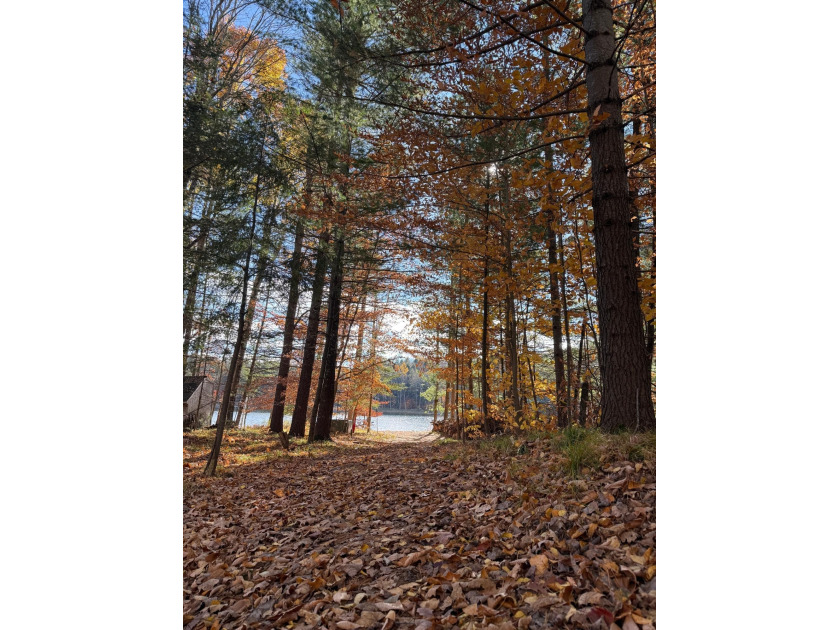 Create your perfect Northwoods escape on this stunning 2.45-acre - photo 3
