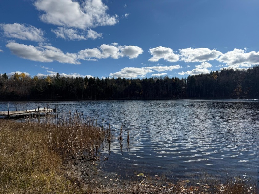Create your perfect Northwoods escape on this stunning 2.45-acre - photo 4