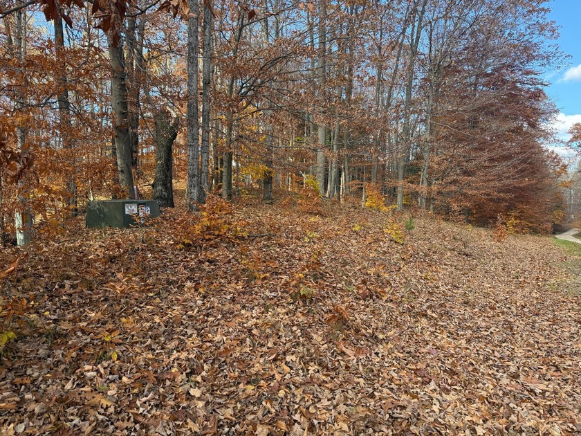 Create your perfect Northwoods escape on this stunning 2.45-acre - photo 5
