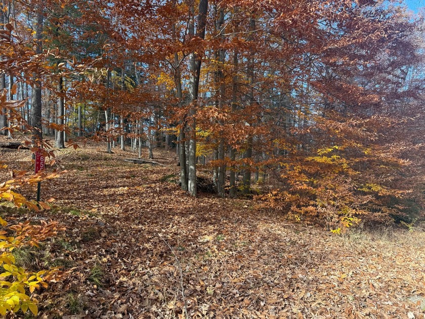 Create your perfect Northwoods escape on this stunning 2.45-acre - photo 6