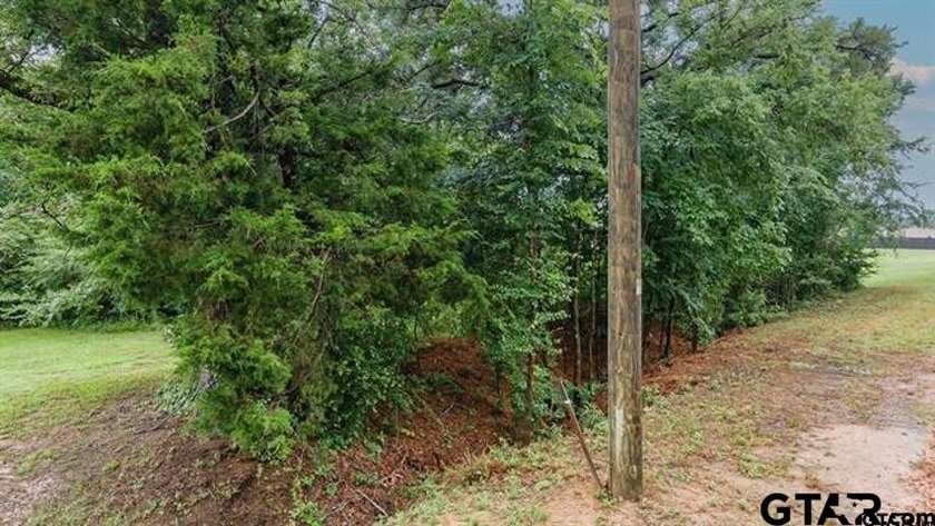 Looking for a serene and stunning location to build your dream - photo 3